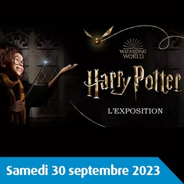 SOMME - EXPOSITION IMMERSIVE HARRY POTTER