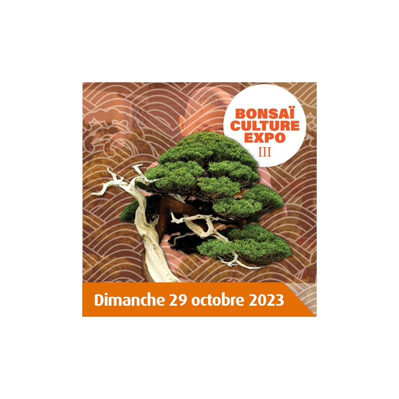 ANNULÉ SOMME SECTION BONSAI VISITE DU PARC FLORAL DE PARIS