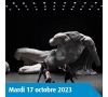 SOMME - MCA- DOM JUAN OU LE FESTIN DE PIERRE