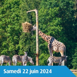 SOMME - ZOO DE THOIRY SAFARI