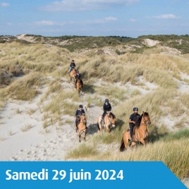 SOMME - PROMENADE DECOUVERTE EN HENSON