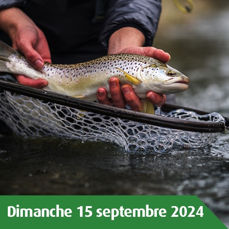 AISNE - CONCOURS DE PECHE A L'ETANG DE FOURDRAIN