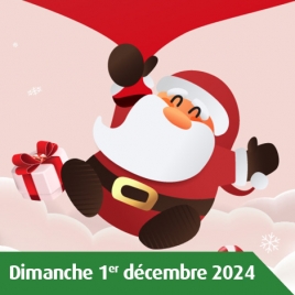 AISNE - ARBRE DE NOEL - SPECTACLE DE L'AISNE 2024