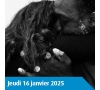 SOMME - MCA - BERENICE