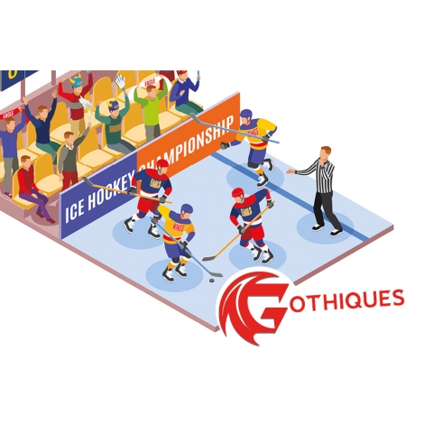 HOCKEY SUR GLACE AU COLISEUM D'AMIENS : AMIENS VS GAP