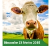 AISNE - Salon International de l'Agriculture à Paris