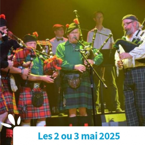 SOMME - LES NUITS CELTIQUES