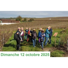 AISNE - BALADE PETILLANTE A CHARLY/MARNE