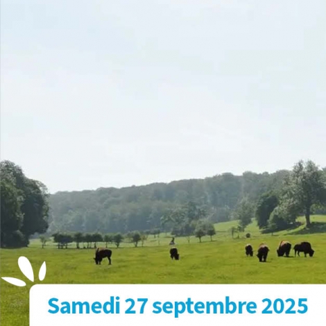 SOMME - VISITE DU PARC CANADIEN