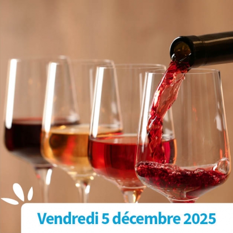 SOMME - Un Voyage Sensoriel au Cœur du Vin