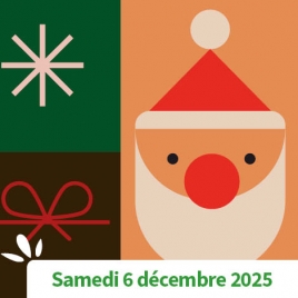 AISNE - ARBRE DE NOEL - SPECTACLE DE L' AISNE 2025