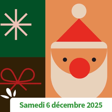 AISNE - ARBRE DE NOEL - SPECTACLE DE L' AISNE 2025