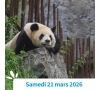 SOMME - PAIRI DAIZA : LE TOUR DU MONDE EN UNE JOURNEE !