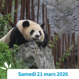 SOMME - PAIRI DAIZA : LE TOUR DU MONDE EN UNE JOURNEE !