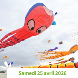 OISE - CERF-VOLANT DE BERCK