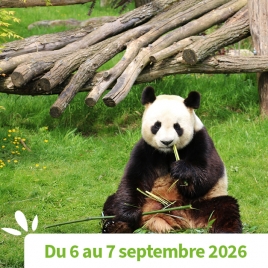 OISE - WEEK-END AU ZOO PARC DE BEAUVAL
