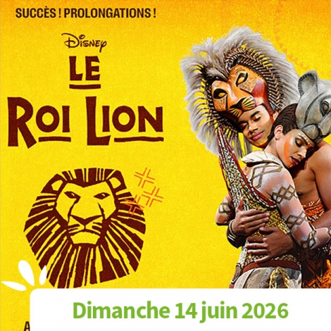 OISE - VIVEZ LA MAGIE DU ROI LION