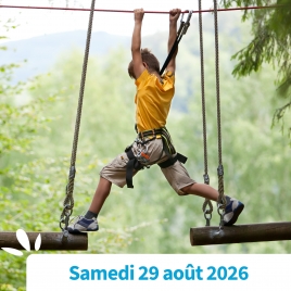 SOMME - UNE SORTIE DANS LES ARBRES