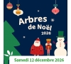AISNE - ARBRE DE NOEL - SPECTACLE DE L' AISNE 2026