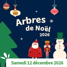 AISNE - ARBRE DE NOEL - SPECTACLE DE L' AISNE 2026