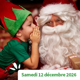 AISNE - ARBRE DE NOEL - SPECTACLE DE L' AISNE 2026