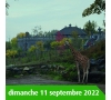 SORTIE FAMILLE AU PARC ANIMALIER PAIRI DAIZA