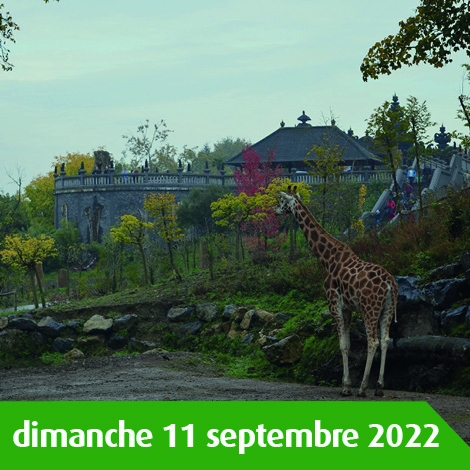 SORTIE FAMILLE AU PARC ANIMALIER PAIRI DAIZA